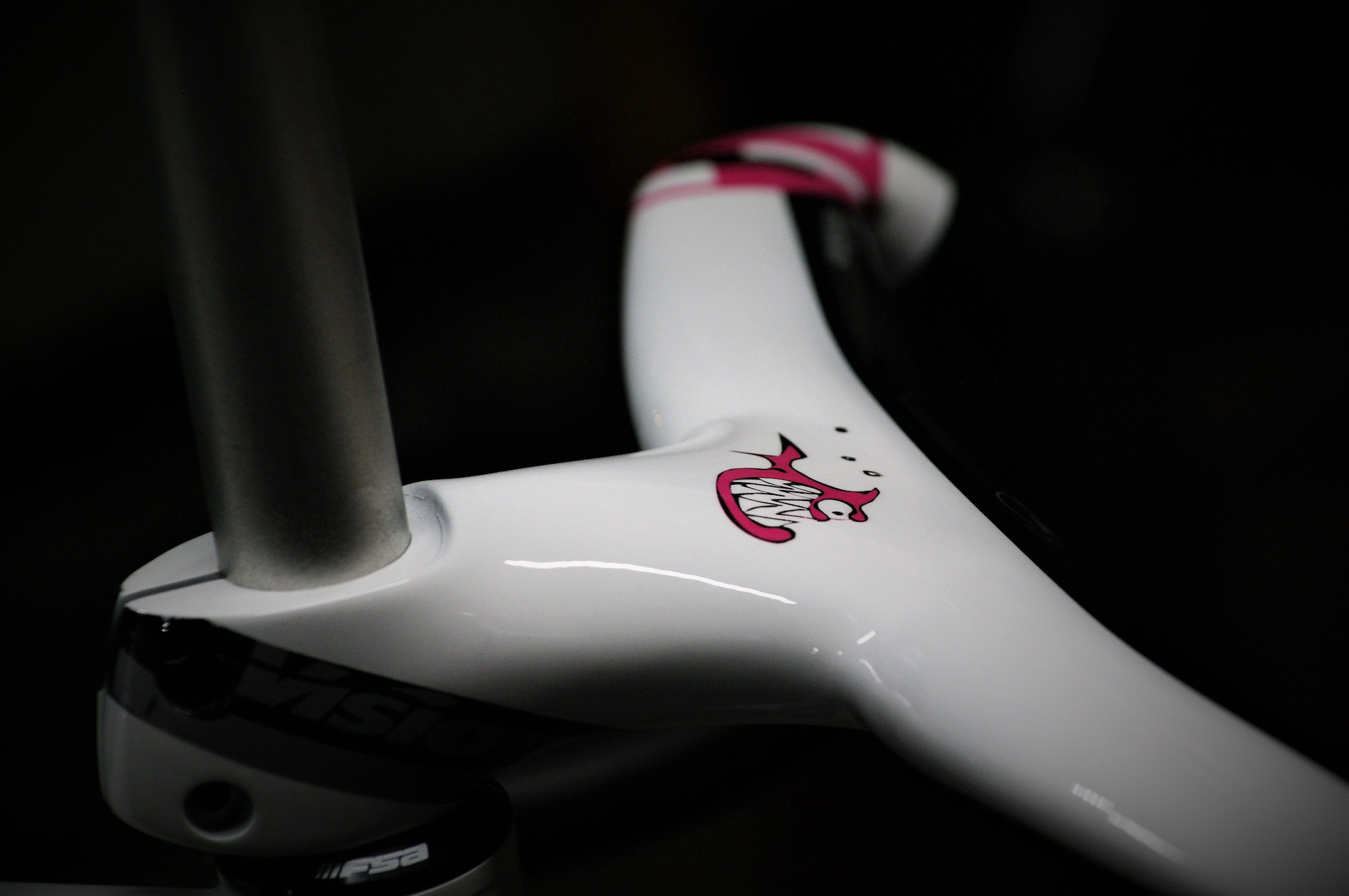 Maggie Coles-Lyster Elle Pirahna Track bike